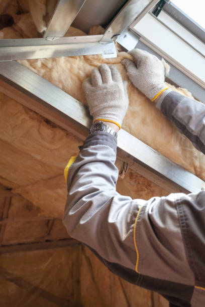 Best Insulation Replacement Services  in Waunakee, WI